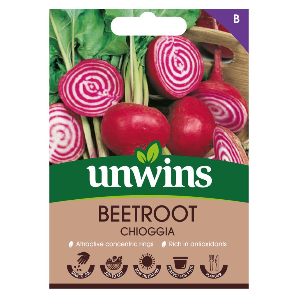 Unwins Beetroot Chioggia Seeds 5051618029179 2
